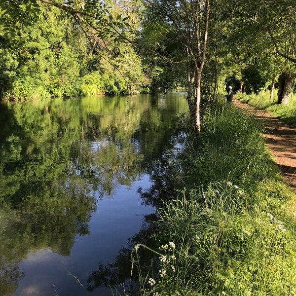 Nouveautés 2026&nbsp;: Tours guidés à vélo
